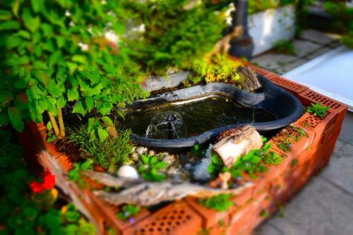 Bed & Breakfast Bnb Haus Weibel