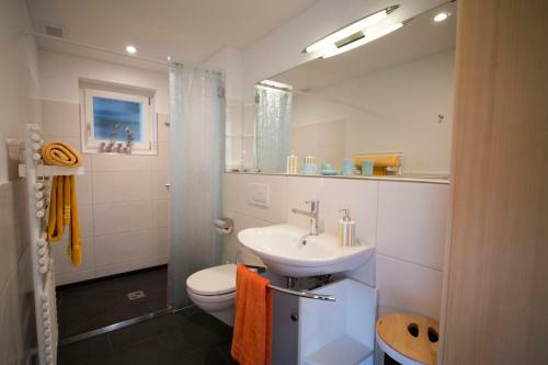 Apartamentos Chalet Bergoase