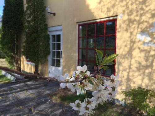 Bed & Breakfast L�nsmansg�rden �dalen