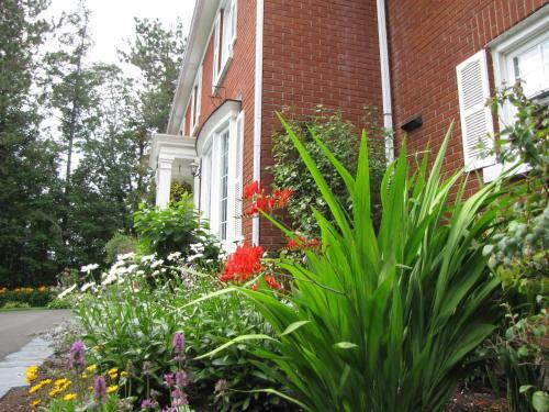 Bed & Breakfast Auberge Les Pignons Vert