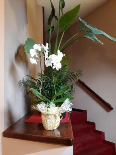 Hostal Guesthouse "kod ?ileta"