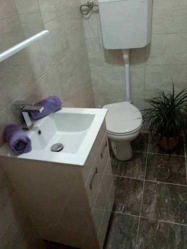 Apartment Lux 10