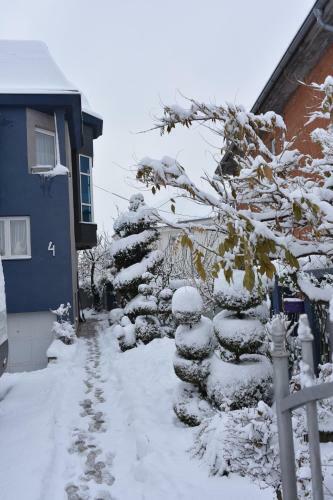 Blue House Apartment