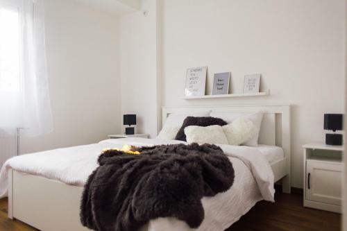 New Center Apartments