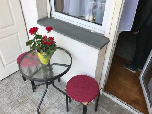 Apartamento Tina Sajam Studio