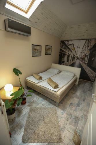 Magic Apartment