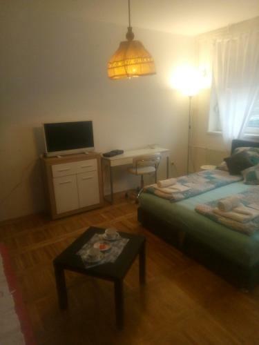Apartamento Ivana Center