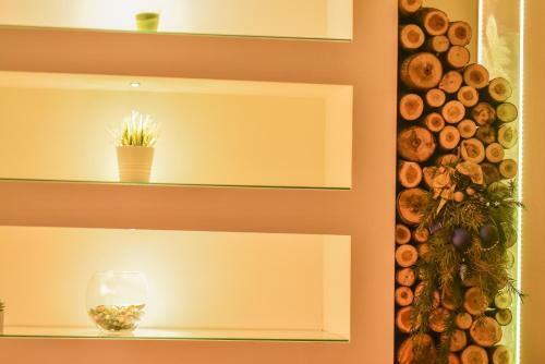 Chimney Modern Apartment Novi Sad
