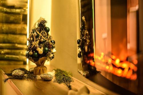 Chimney Modern Apartment Novi Sad