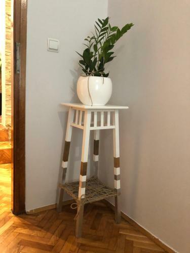 Natasha's Sauna Apartment In Central Novi Sad