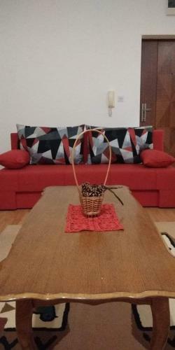 Apartment Ravangrad