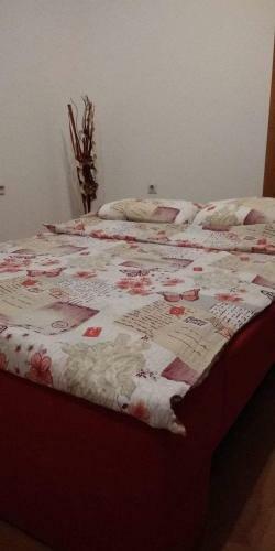 Apartment Ravangrad