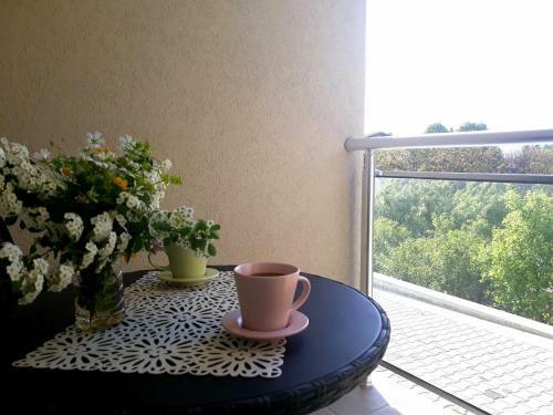 Apartamento Studio Sanja