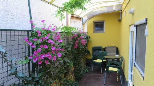 Apartamentos Guest House Pavlovic