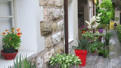Apartamentos Guest House Pavlovic