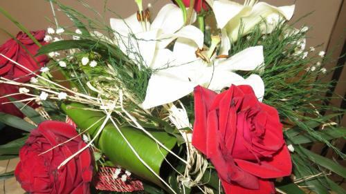 Apartamentos Guest House Pavlovic