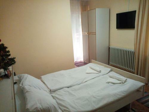 Hostal Guest House Vila Vlasta