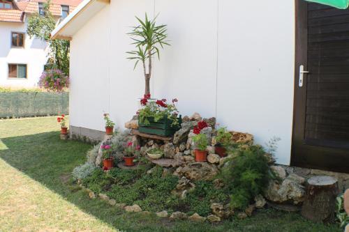 Apartment Dragutinovi?
