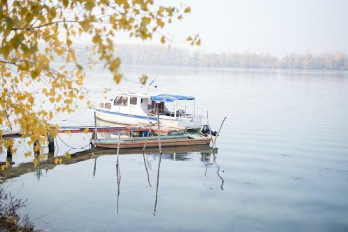 Etno Apartments Dunav