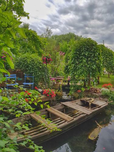 Etno Apartments Dunav