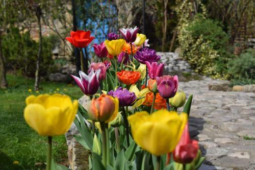 Etno Apartments Dunav