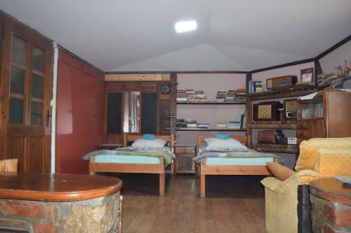 Apartment Jancic