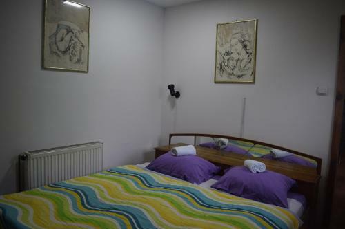 Apartment Jancic