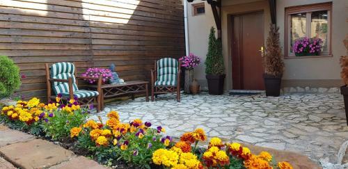 Dunav Apartments