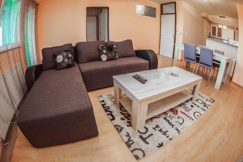 Brand New, Sunny Apartment