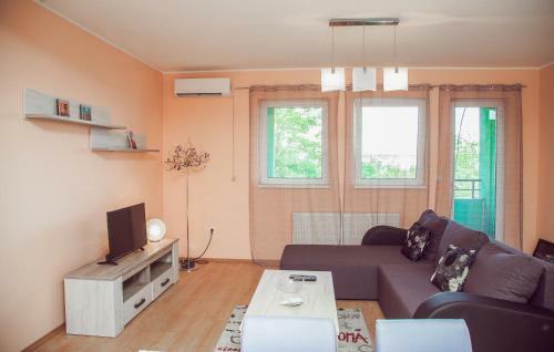 Brand New, Sunny Apartment