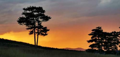 Albergue Planinski Dom "tornik" Zlatibor