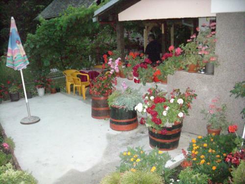 Hostal "pivnica I Smestaj Jovanovic"- Rogljevacke Pivnice