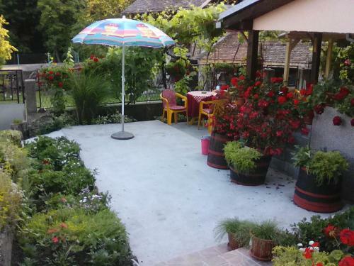 Hostal "pivnica I Smestaj Jovanovic"- Rogljevacke Pivnice