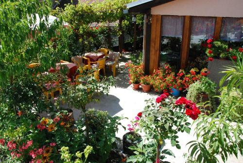 Hostal "pivnica I Smestaj Jovanovic"- Rogljevacke Pivnice