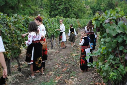 Hostal "pivnica I Smestaj Jovanovic"- Rogljevacke Pivnice