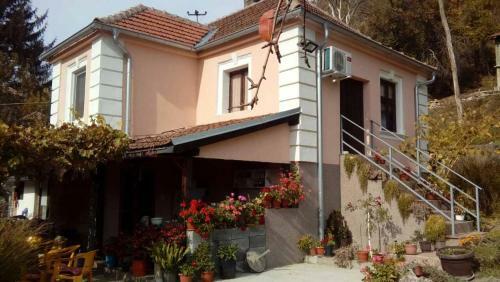 Hostal "pivnica I Smestaj Jovanovic"- Rogljevacke Pivnice