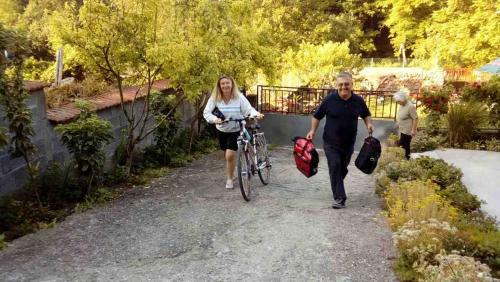 Hostal "pivnica I Smestaj Jovanovic"- Rogljevacke Pivnice