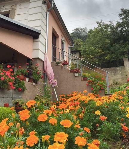 Hostal "pivnica I Smestaj Jovanovic"- Rogljevacke Pivnice