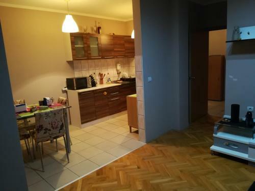 Apartment Branicevska 1