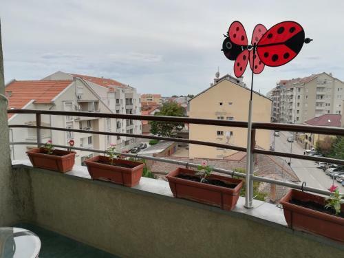 Apartment Branicevska 1