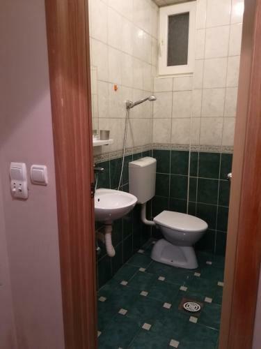 Apartment Branicevska 1