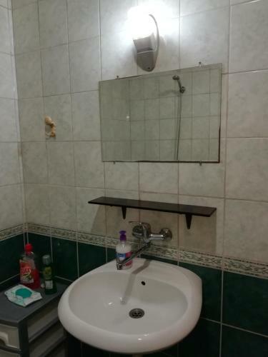 Apartment Branicevska 1
