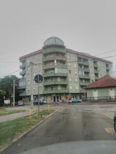 Apartment Branicevska 1