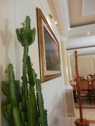 Apartamento Guesthouse Ellite