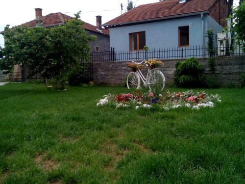 Hostal Guest House Vila Banjica