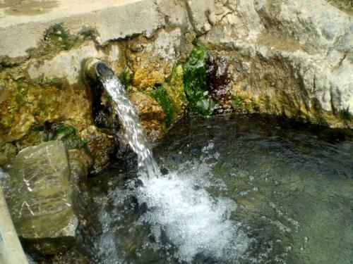 Hostal Guest House Vila Banjica