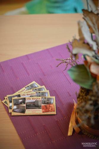 Hostal Guest House Vila Banjica