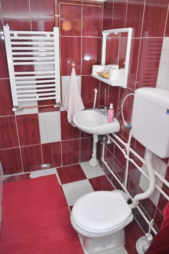 Hostal Guest House Vila Banjica