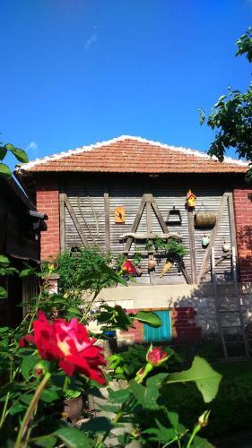 Bed & Breakfast Vila Milenovic Rajacke Pivnice
