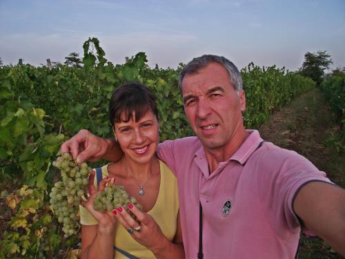 Bed & Breakfast Vila Milenovic Rajacke Pivnice